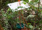 Flight Interception Traps - ButterflyTraps